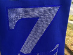 Zeta Canvas Bag 13width x 15 length-Royal